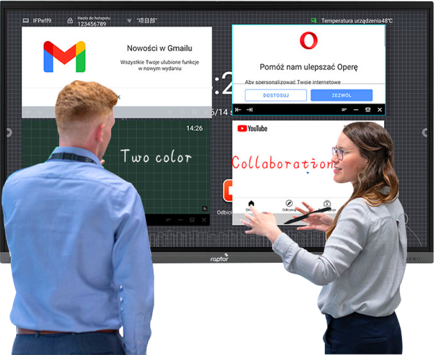 Multi-Window Display